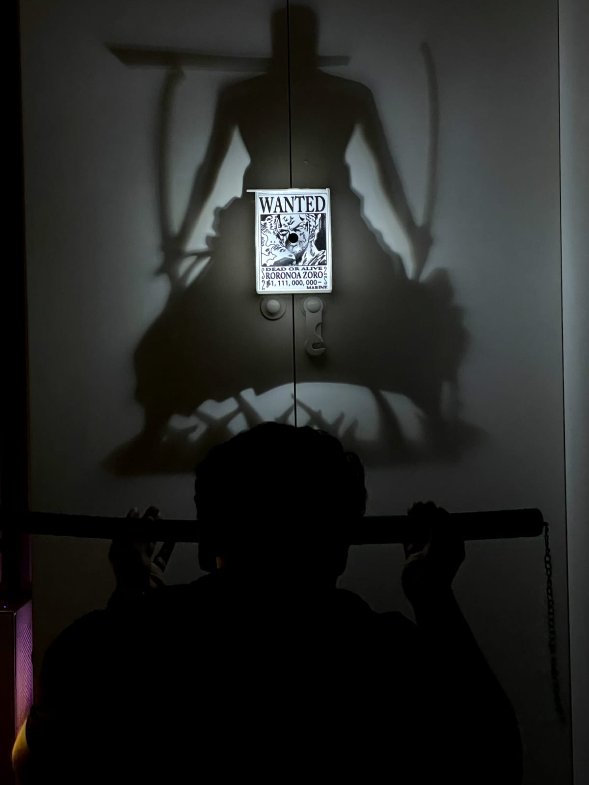 Roronoa Zoro | Inspired 3D Shadow Lamp